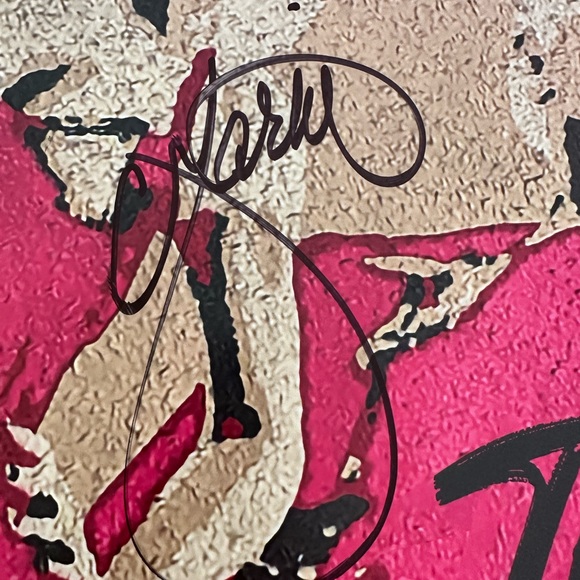 (Dixie) Chicks fans! Autographed Concert Poster - Picture 3 of 4